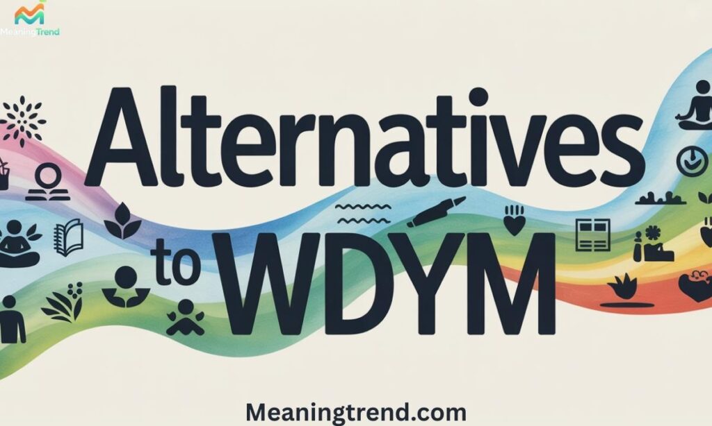 Alternatives to WDYM