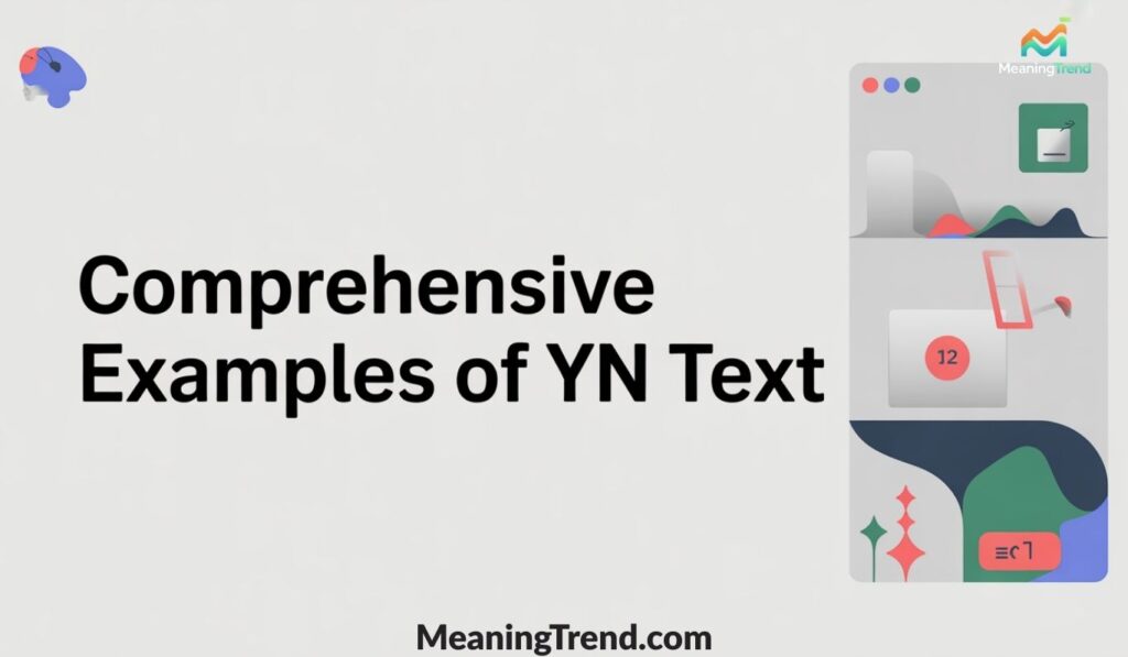 Comprehensive Examples of YN in Texta