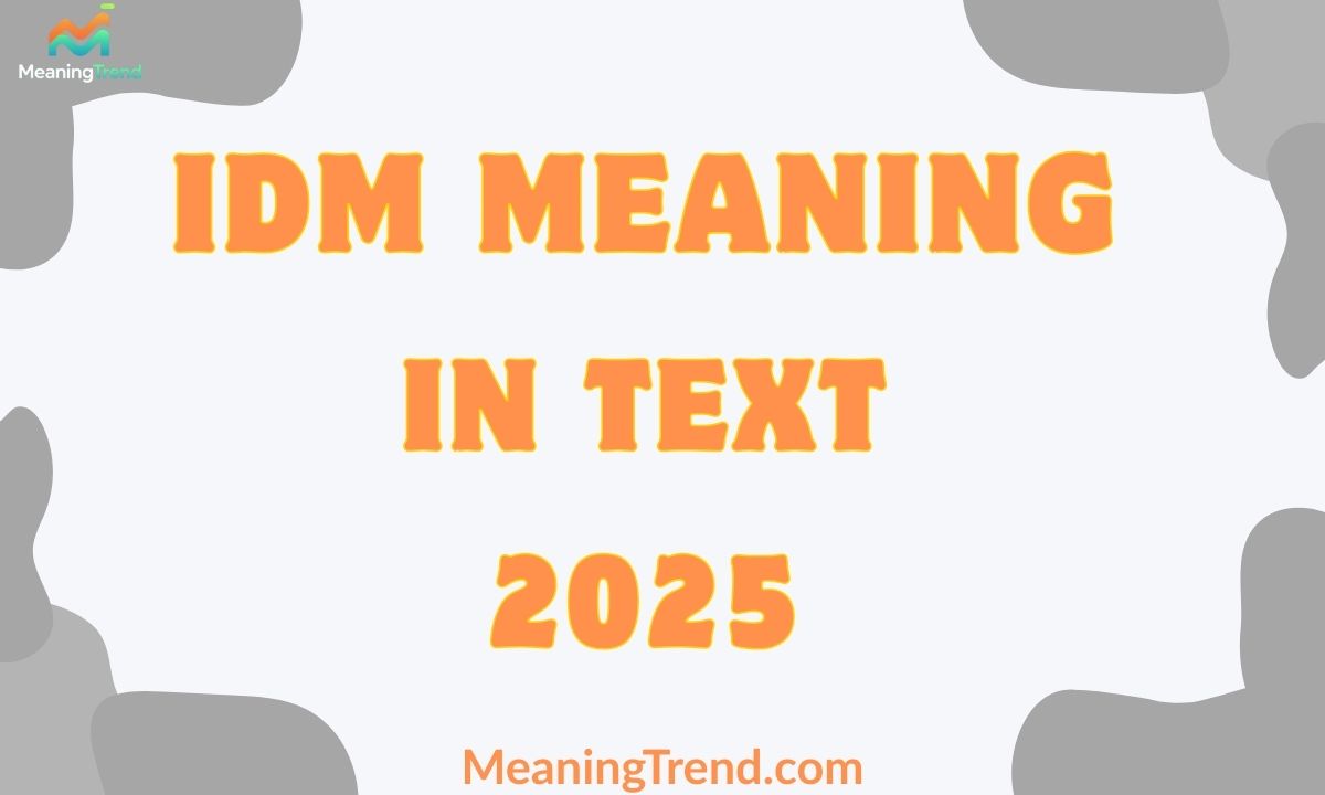 IDM Meaning In Text
