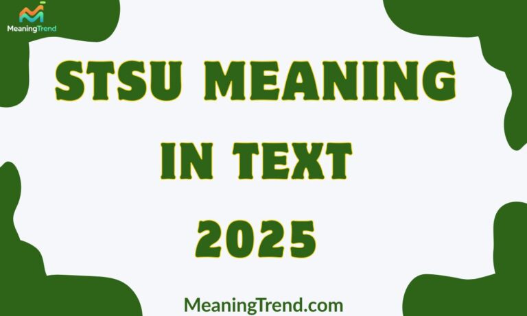 STSU Meaning in Text