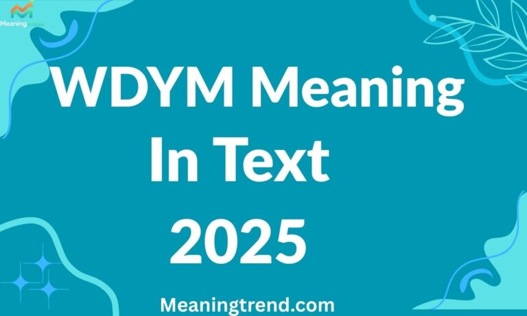 WDYM Meaning in Text