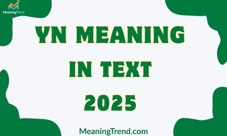 YN Meaning In Text