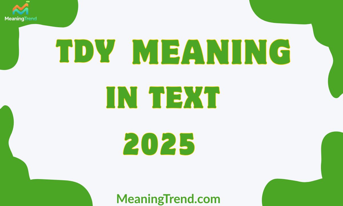 TDY Meaning In Text