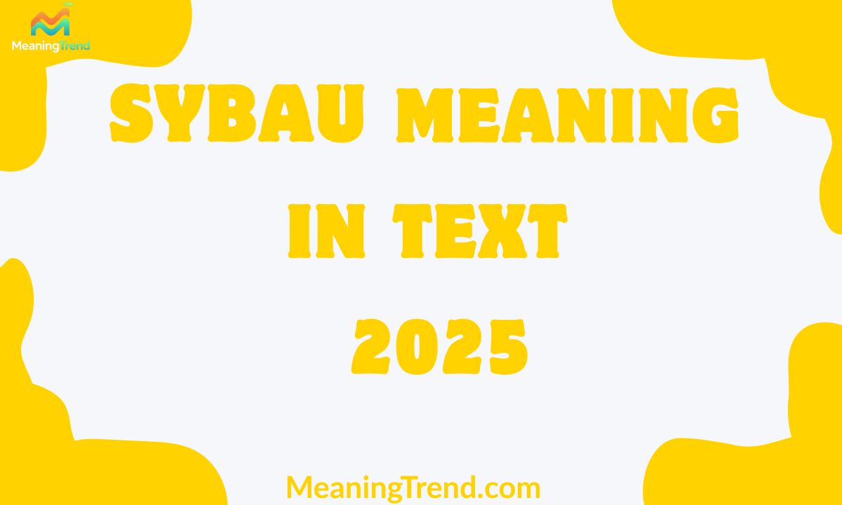 SYBAU Meaning In Text