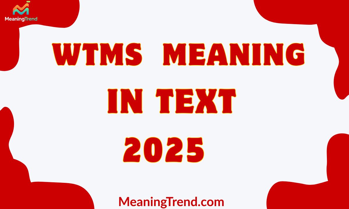 WTMS Meaning In Text